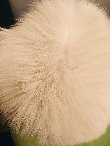 Other: Color - White at lalafo.rs — 2 Other: Color - White — 2