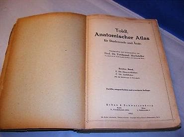 Toldt, anatomischer Atlas fü r Studierende und Ä rzte - Zweiter Band na lalafo.rs Toldt, anatomischer Atlas fü r Studierende und Ä rzte - Zweiter Band