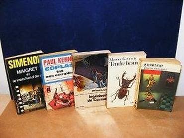 Lot od 5 knjiga na francuskom -Exbrayat, Joyeux noel tony -Maigret et na lalafo.rs — 3 Lot od 5 knjiga na francuskom -Exbrayat, Joyeux noel tony -Maigret et — 3