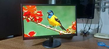 V7 L215DS-2E - LED monitor - Full HD (1080p) - 21.5"-perfektan at lalafo.rs — 3 V7 L215DS-2E - LED monitor - Full HD (1080p) - 21.5"-perfektan — 3