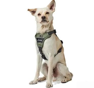 Hunter neoprensko oprsnik za pse – vojno zelena boja - Ergonomskog Y na lalafo.rs Hunter neoprensko oprsnik za pse – vojno zelena boja - Ergonomskog Y