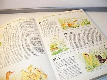 366. i još više priča o prirodi an-mari dalme1988 mladinska na lalafo.rs — 3 366. i još više priča o prirodi an-mari dalme1988 mladinska — 3