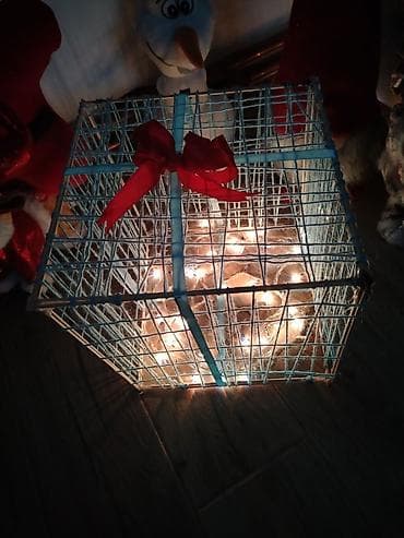 stalaze i police: Dekorativni svetleći poklon paket – ručno rađena novogodišnja at lalafo.rs — 4 stalaze i police: Dekorativni svetleći poklon paket – ručno rađena novogodišnja — 4