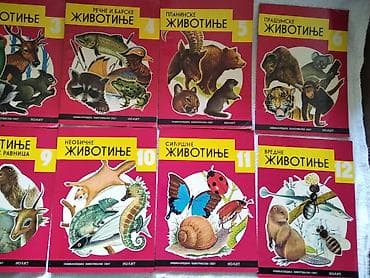 Нолит Мале енциклопедије 1-12 писмо ћирилица Енциклопедија о at lalafo.rs — 1 Нолит Мале енциклопедије 1-12 писмо ћирилица Енциклопедија о — 1