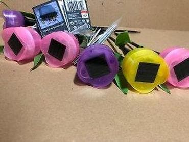 Garden Lighting: LED solarne baštenske lampe u obliku tulipana – Flower Power “LED at lalafo.rs — 10 Garden Lighting: LED solarne baštenske lampe u obliku tulipana – Flower Power “LED — 10