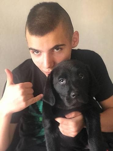 Labrador štenci na prodaju u žutoj i crnoj boji, oba pola u ponudi na lalafo.rs Labrador štenci na prodaju u žutoj i crnoj boji, oba pola u ponudi
