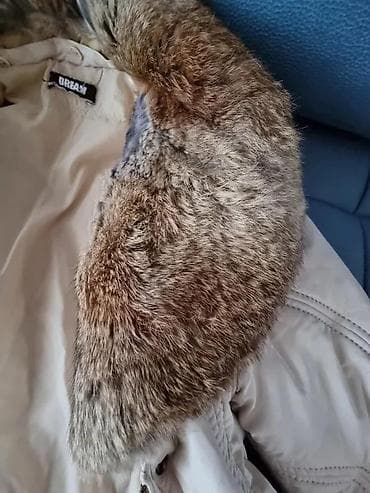 DREAM JAKNA, VRHUNSKI MODEL, ULTRA HIT, VEL. L | Polovno! ! ! na lalafo.rs DREAM JAKNA, VRHUNSKI MODEL, ULTRA HIT, VEL. L | Polovno! ! !