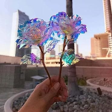 za svaki dan: Magična Svetleća Ruža - Divan Poklon Opis: Idealno za posebne at lalafo.rs — 2 za svaki dan: Magična Svetleća Ruža - Divan Poklon Opis: Idealno za posebne — 2