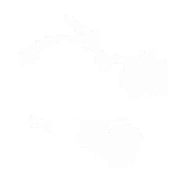 CDI elektronika/Modul paljenja za skutere Opis: - Kompletna CDI at lalafo.rs — 4 CDI elektronika/Modul paljenja za skutere Opis: - Kompletna CDI — 4