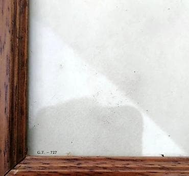 Vintage Botanička ilustracija Staphylodendron u drvenom ramu. Prodajem na lalafo.rs — 3 Vintage Botanička ilustracija Staphylodendron u drvenom ramu. Prodajem — 3