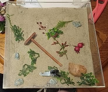 Dekorativni zen vrt u akrilnoj kutiji sa zaključavanjem - Prozirna at lalafo.rs — 1 Dekorativni zen vrt u akrilnoj kutiji sa zaključavanjem - Prozirna — 1