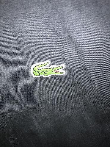 Other: Shirt Lacoste, color - Blue at lalafo.rs — 3 Other: Shirt Lacoste, color - Blue — 3