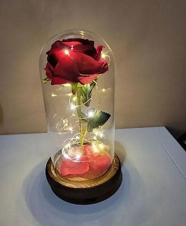 Ruža pod Staklenim Zvonom - Crvena 🌹💎 (Poklon) Karakteristike: Večna na lalafo.rs — 1 Ruža pod Staklenim Zvonom - Crvena 🌹💎 (Poklon) Karakteristike: Večna — 1