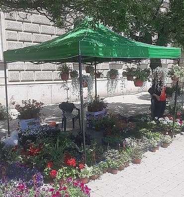 Tenda 3x3 metra novo paviljon harmonika akcija cene nisu fiksne na lalafo.rs — 5 Tenda 3x3 metra novo paviljon harmonika akcija cene nisu fiksne — 5