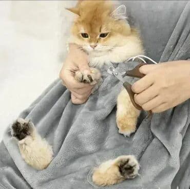 Mekano ćebe i kecelja za kućne ljubimce. mekano ćebe i kecelja za na lalafo.rs Mekano ćebe i kecelja za kućne ljubimce. mekano ćebe i kecelja za