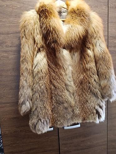 Prelepa bunda od zlatne lisicekao nova,vel.38 at lalafo.rs — 1 Prelepa bunda od zlatne lisicekao nova,vel.38 — 1
