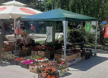 Garden umbrellas, awnings and pavilions: Paviljon-Tenda 3x3 metra NOVO AKCIJA Cene nisu fiksne, odredite ih at lalafo.rs — 5 Garden umbrellas, awnings and pavilions: Paviljon-Tenda 3x3 metra NOVO AKCIJA Cene nisu fiksne, odredite ih — 5