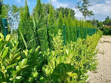 🔲 PANELNA OGRADA 3D 153x250 4 mm – AKCIJA 📍 Fence System doo – na lalafo.rs — 2 🔲 PANELNA OGRADA 3D 153x250 4 mm – AKCIJA 📍 Fence System doo – — 2