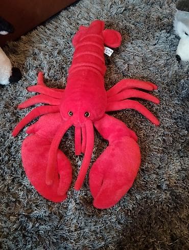 Na prodaju plisanci vrlo povoljno na lalafo.rs — 3 Na prodaju plisanci vrlo povoljno — 3