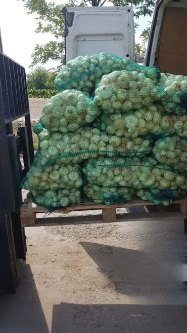 Ljuštilica za krtolasto povrće – krompir, crni luk, cvekla Kapacitet na lalafo.rs Ljuštilica za krtolasto povrće – krompir, crni luk, cvekla Kapacitet