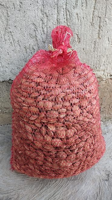 All for country house and garden: Kostice kajsije ne ociscene 300din kilogram at lalafo.rs — 1 All for country house and garden: Kostice kajsije ne ociscene 300din kilogram — 1