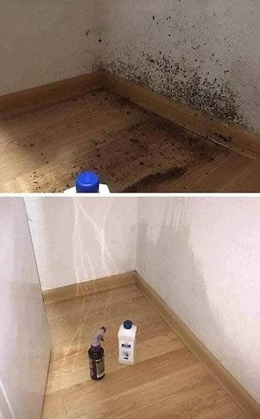 🌿 PDP koncentrat – efikasno protiv buđi! 🌿 Za zdrav i čist dom bez na lalafo.rs — 4 🌿 PDP koncentrat – efikasno protiv buđi! 🌿 Za zdrav i čist dom bez — 4