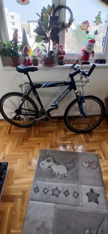 Capriolo Anolis – gradsko/trek biciklo 26” - Veličina točkova: 26” - na lalafo.rs Capriolo Anolis – gradsko/trek biciklo 26” - Veličina točkova: 26” -