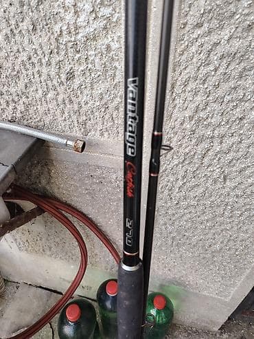 Vantage Catfish 300 gr 2.70 – somovski stap - Dužina: 2,70 m - na lalafo.rs Vantage Catfish 300 gr 2.70 – somovski stap - Dužina: 2,70 m -