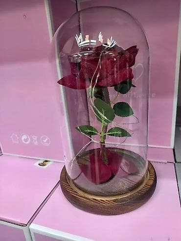 Večna LED ruža u staklu - Idealan poklon za 8. mart 🌹💡 NOVO! "Večna" na lalafo.rs — 3 Večna LED ruža u staklu - Idealan poklon za 8. mart 🌹💡 NOVO! "Večna" — 3