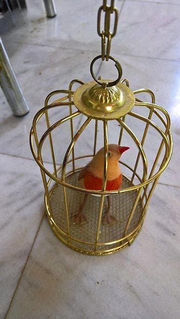 Kanarinac na baterije u kavezu na lalafo.rs — 4 Kanarinac na baterije u kavezu — 4