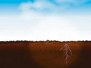 prsluk jaknica mango u: Florabest set za kap po kap navodnjavanje – 57 delova - Sistem za at lalafo.rs — 7 prsluk jaknica mango u: Florabest set za kap po kap navodnjavanje – 57 delova - Sistem za — 7