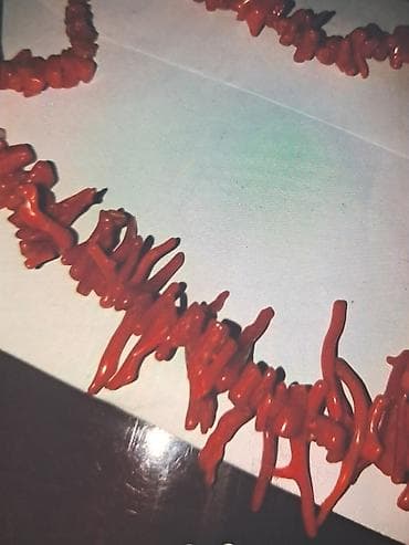 Ogrlica od crvenih korala. Dužina 50 cm na lalafo.rs — 2 Ogrlica od crvenih korala. Dužina 50 cm — 2