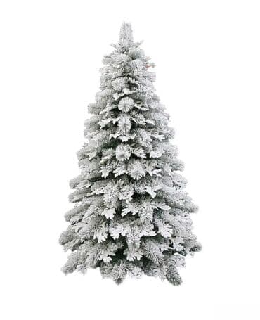 Jelka na lalafo.rs Jelka