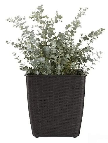 Vases and pots: NOVE PLETENE SAKSIJE BASTENSKE SAKSIJE METAL-PETAN AKCIJA | Cene at lalafo.rs — 6 Vases and pots: NOVE PLETENE SAKSIJE BASTENSKE SAKSIJE METAL-PETAN AKCIJA | Cene — 6