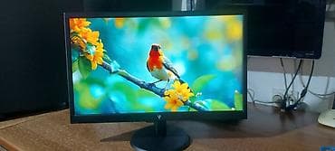 V7 L215DS-2E - LED monitor - Full HD (1080p) - 21.5"-perfektan at lalafo.rs — 1 V7 L215DS-2E - LED monitor - Full HD (1080p) - 21.5"-perfektan — 1