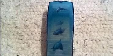 prsluk jaknica mango u: Nokia 8310 Ispravna. Sim freee Nokia 6270. Neispitana. Cena po komadu at lalafo.rs — 6 prsluk jaknica mango u: Nokia 8310 Ispravna. Sim freee Nokia 6270. Neispitana. Cena po komadu — 6