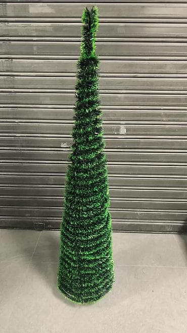 Kupasta jelka – više dimenzija Prodajem prelepe kupaste jelke na lalafo.rs — 1 Kupasta jelka – više dimenzija Prodajem prelepe kupaste jelke — 1