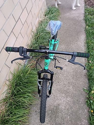 Decij bicikl Explorer T-Rex 20 sa amortizerom i brzinama zelena Tekst at lalafo.rs — 5 Decij bicikl Explorer T-Rex 20 sa amortizerom i brzinama zelena Tekst — 5