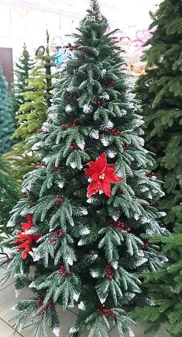 Jelka snezna, tri vrste grana sa bobicama 120cm-5000din 150cm 8000din na lalafo.rs — 2 Jelka snezna, tri vrste grana sa bobicama 120cm-5000din 150cm 8000din — 2