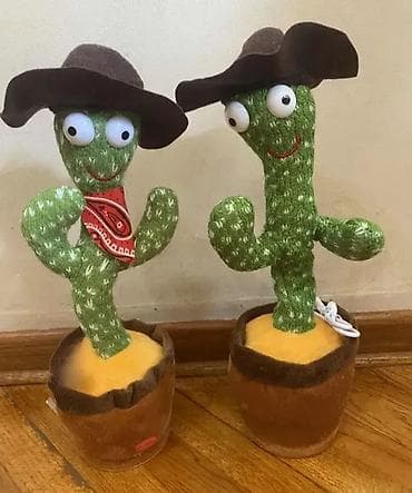 Kaktus koji pleše na lalafo.rs — 2 Kaktus koji pleše — 2