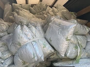 Jastuk Aloe vera
1550din na lalafo.rs Jastuk Aloe vera
1550din