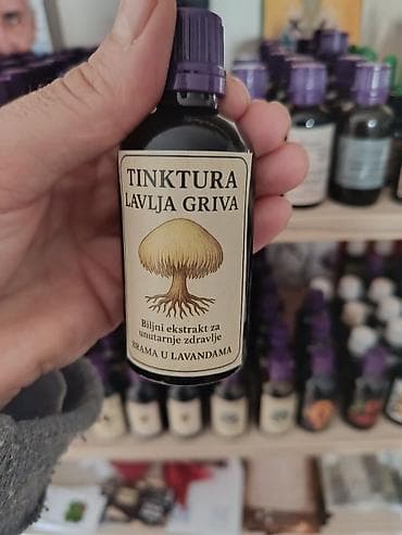 Tinktura „Lavlja griva“ – biljni ekstrakt za unutarnje zdravlje na lalafo.rs Tinktura „Lavlja griva“ – biljni ekstrakt za unutarnje zdravlje