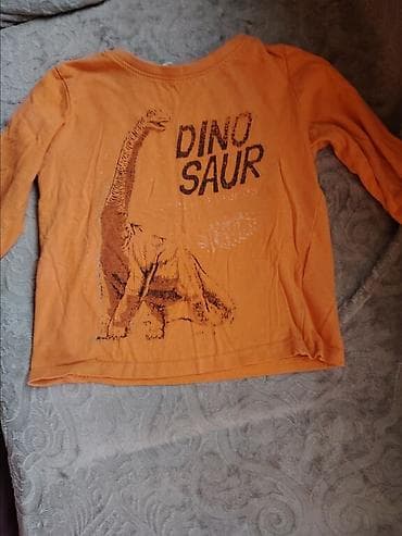 Dečija majica dugih rukava – naranžasta, sa printom dinosaurusa i na lalafo.rs — 1 Dečija majica dugih rukava – naranžasta, sa printom dinosaurusa i — 1