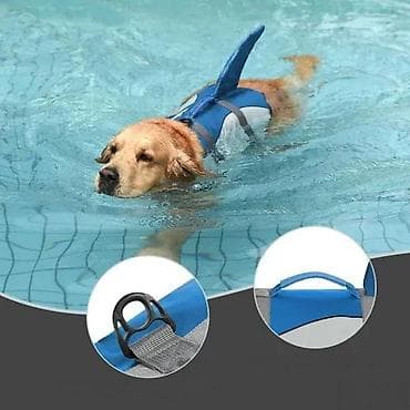 prsluk jaknica mango u: Prsluk za spasavanje pasa – “šarka peraja” dizajn - Sigurnosni prsluk at lalafo.rs — 2 prsluk jaknica mango u: Prsluk za spasavanje pasa – “šarka peraja” dizajn - Sigurnosni prsluk — 2