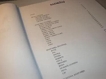 ANATOMIJA ŠKOLA CRTANJA Szunyoghy Andras1998 veble commerce603 na lalafo.rs — 2 ANATOMIJA ŠKOLA CRTANJA Szunyoghy Andras1998 veble commerce603 — 2