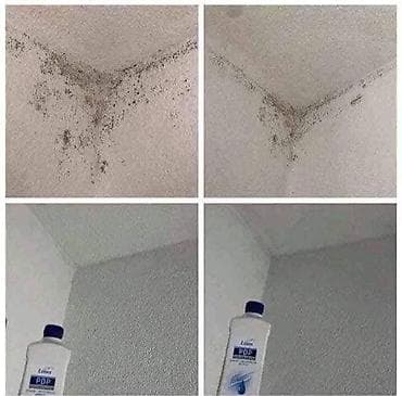 🌿 PDP koncentrat – efikasno protiv buđi! 🌿 Za zdrav i čist dom bez na lalafo.rs — 3 🌿 PDP koncentrat – efikasno protiv buđi! 🌿 Za zdrav i čist dom bez — 3