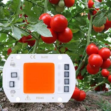 Garden Lighting: Led Sijalica Za Rast Bilja Full Spectrum Led Grow 30w 220v at lalafo.rs — 1 Garden Lighting: Led Sijalica Za Rast Bilja Full Spectrum Led Grow 30w 220v — 1