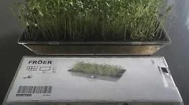 Seeds and seedlings: IKEA FRÖER komplet za klijanje mikrobilja Opis: - Set za jednostavno at lalafo.rs — 6 Seeds and seedlings: IKEA FRÖER komplet za klijanje mikrobilja Opis: - Set za jednostavno — 6