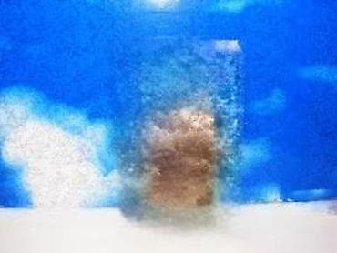 Manastir vujan dr. milomir v. glišić1994 manastir vujanotisnut pečat na lalafo.rs — 2 Manastir vujan dr. milomir v. glišić1994 manastir vujanotisnut pečat — 2