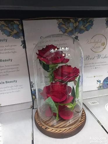 Večna LED ruža u staklu - Idealan poklon za 8. mart 🌹💡 NOVO! "Večna" na lalafo.rs — 2 Večna LED ruža u staklu - Idealan poklon za 8. mart 🌹💡 NOVO! "Večna" — 2